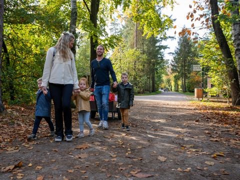 Recreatiepark De Paalberg - Ermelo - Afbeelding N°5