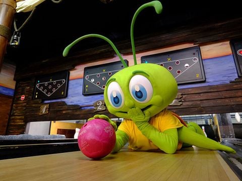 Park Molenheide - Belgisch Limburg