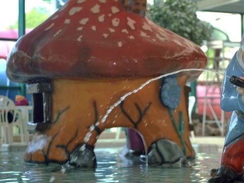 Park Molenheide - Camping Belgisch Limburg