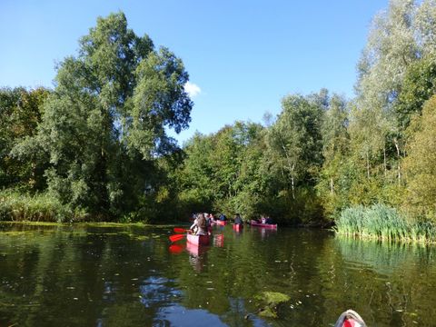 EuroParcs Bad Hulckesteijn - Nijkerk - Afbeelding N°33