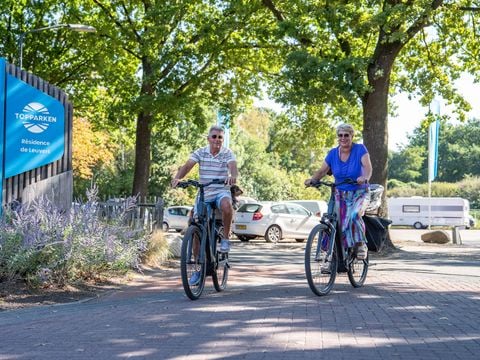 TopParken Résidence de Leuvert - Camping Vught - Afbeelding N°4