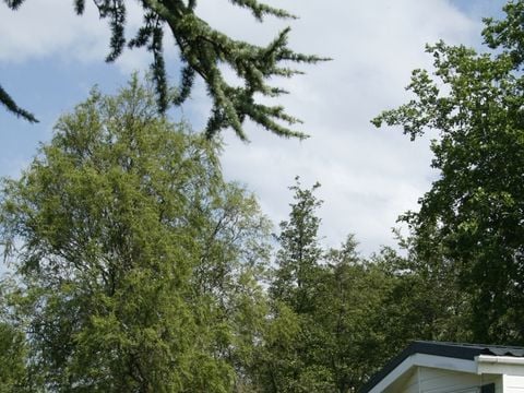 Holland Chalet Park Hensbroek - Koggenland