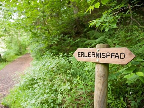 Ferienpark Ronshausen - Camping Hessen - Afbeelding N°3
