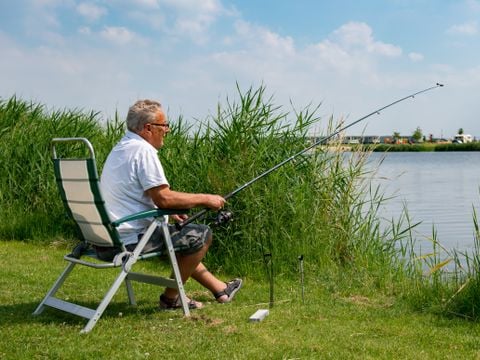 Recreatiecentrum de Vogel - Hulst