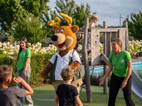 TopParken Résidence Valkenburg - Camping Valkenburg aan de Geul - Afbeelding N°5