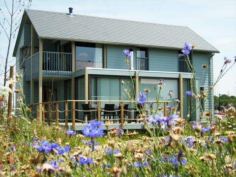 Golden Lakes Village - Henegouwen - Afbeelding N°15