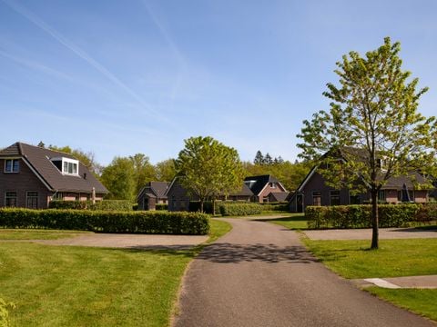 Summio Villaparc Schoonhovenseland - Camping Hoogeveen - Afbeelding N°2