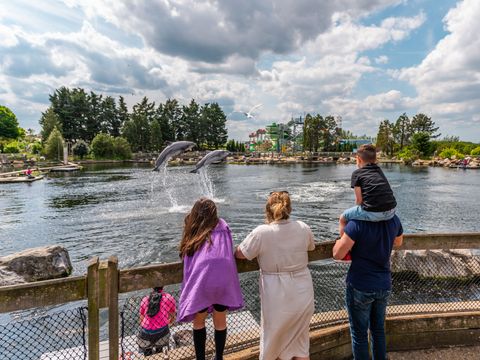 EuroParcs Veluwemeer - Nunspeet - Afbeelding N°31