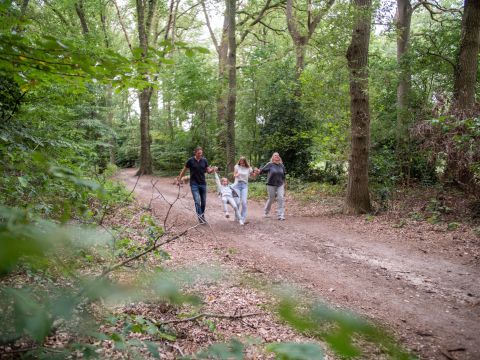 TopParken Recreatiepark de Wielerbaan - Wageningen - Afbeelding N°14