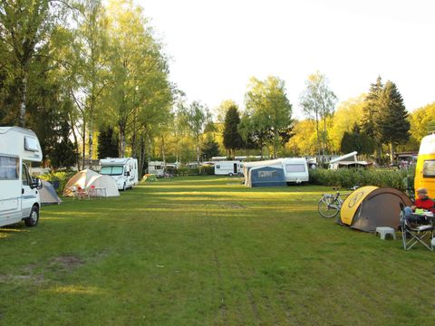 TopParken Recreatiepark de Wielerbaan - Wageningen - Afbeelding N°21