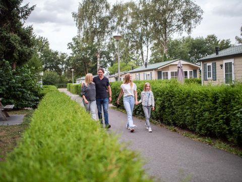TopParken Recreatiepark de Wielerbaan - Wageningen - Afbeelding N°17