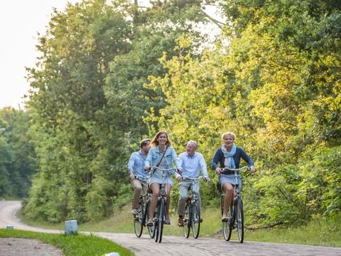 Landal Waterpark Terherne - Friese Meren