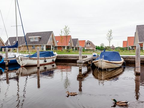 Landal Waterpark Terherne - Camping Friese Meren - Afbeelding N°2
