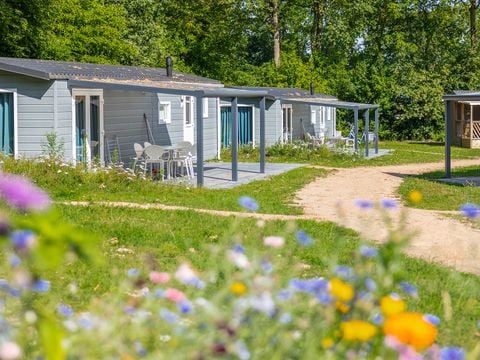 Molecaten Park De Agnietenberg - Camping Zwolle - Afbeelding N°5