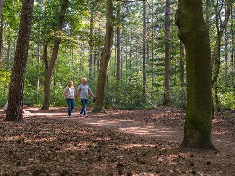 Vakantiepark Ackersate - Barneveld - Afbeelding N°45