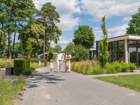 Vakantiepark Ackersate - Camping Barneveld - Afbeelding N°0