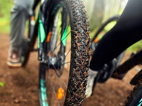 Center Parcs Les Ardennes - Belgisch-Luxemburg