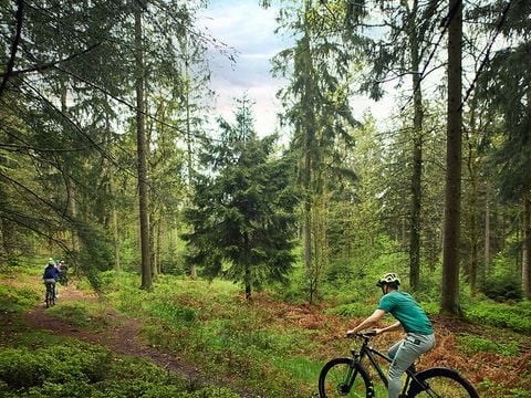 Center Parcs Les Ardennes - Belgisch-Luxemburg