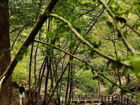 Center Parcs Les Ardennes - Belgisch-Luxemburg