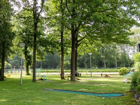 Recreatiepark de Tien Heugten - Camping Aa en Hunze - Afbeelding N°5