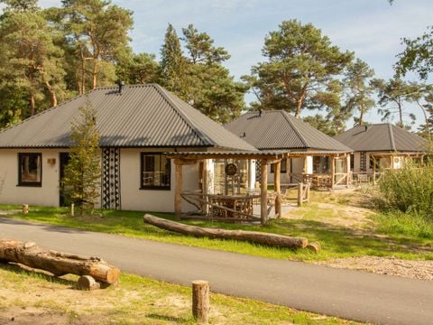 Safari Resort Beekse Bergen - Hilvarenbeek - Afbeelding N°0