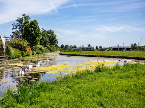 TopParken Parc de IJsselhoeve - Zuidplas - Afbeelding N°16