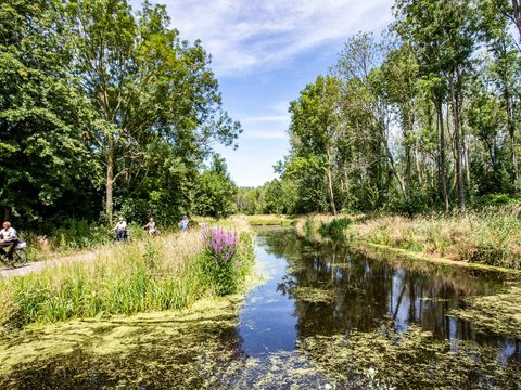 TopParken Parc de IJsselhoeve - Zuidplas - Afbeelding N°24