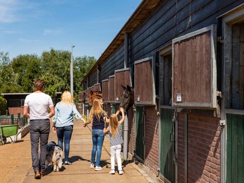 TopParken Parc de IJsselhoeve - Zuidplas - Afbeelding N°10