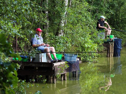 Camping Baalse Hei - Antwerpen