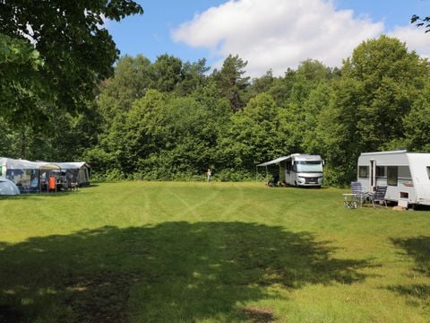 Camping Baalse Hei - Antwerpen - Afbeelding N°3
