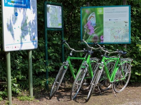 Camping Baalse Hei - Antwerpen