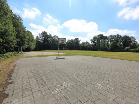 Camping Baalse Hei - Antwerpen - Afbeelding N°5