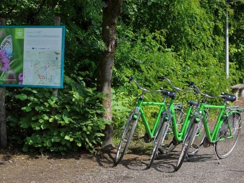 Camping Baalse Hei - Antwerpen