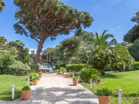 Pierre & Vacances Résidence La Pinède - Var - Afbeelding N°2