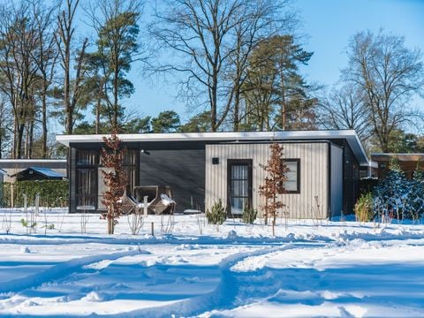 Bospark Markelo - Hof van Twente - Afbeelding N°2
