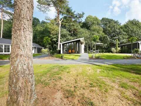 Bospark Markelo - Hof van Twente - Afbeelding N°4