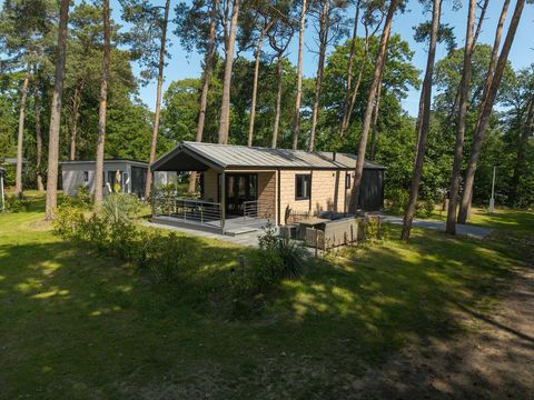 Bospark Markelo - Hof van Twente - Afbeelding N°8