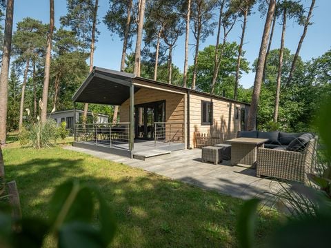 Bospark Markelo - Camping Hof van Twente - Afbeelding N°5