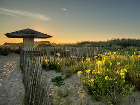 Verblijfpark Beachside - West-Vlaanderen - Afbeelding N°42