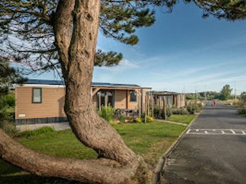 Verblijfpark Beachside - West-Vlaanderen - Afbeelding N°28