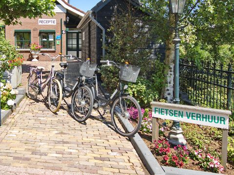 Vakantiepark Duinrust - Camping Noordwijk - Afbeelding N°4