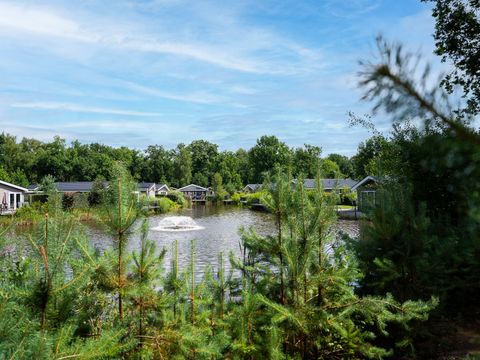 TopParken Recreatiepark Beekbergen - Apeldoorn - Afbeelding N°28