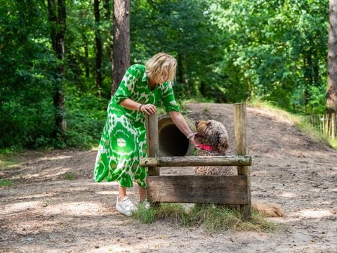 TopParken Recreatiepark Beekbergen - Apeldoorn