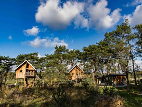 EuroParcs De Wije Werelt - Ede - Afbeelding N°27