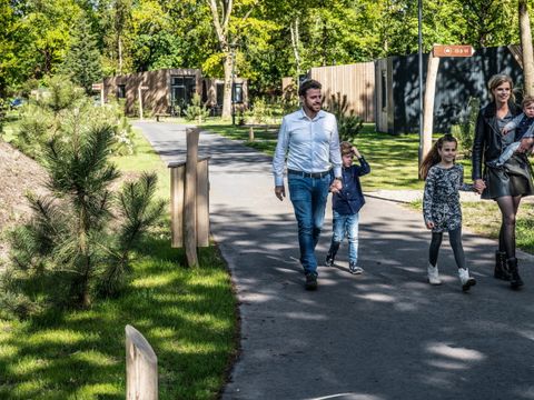 Summio Vakantiepark Schaijk - Landerd - Afbeelding N°26