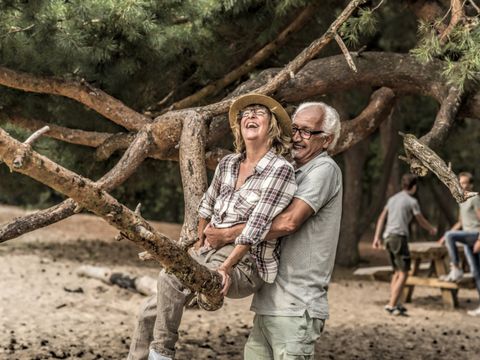 Summio Vakantiepark Schaijk - Landerd - Afbeelding N°27