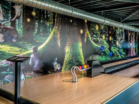 Summio Vakantiepark Schaijk - Landerd - Afbeelding N°14