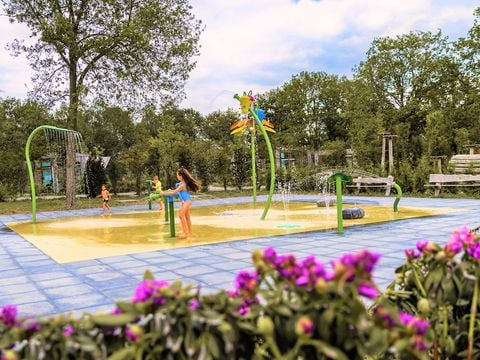 Roompot Vakantiepark Schaijk - Camping Landerd - Afbeelding N°3