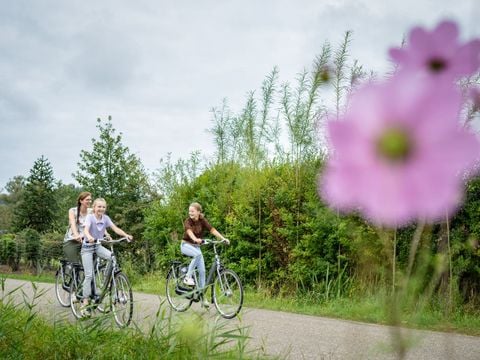 Landal De Vlinderhoeve - Lochem