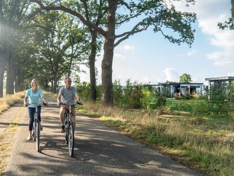 Landal De Vlinderhoeve - Lochem